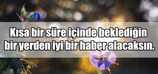 Fal ile ilgili Sözler
