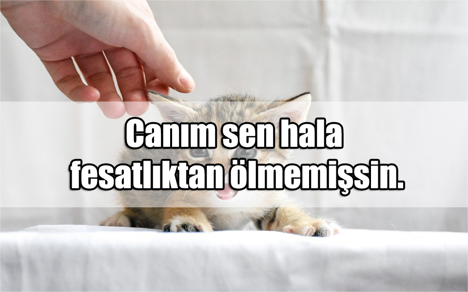 Fesat ile ilgili Sözler