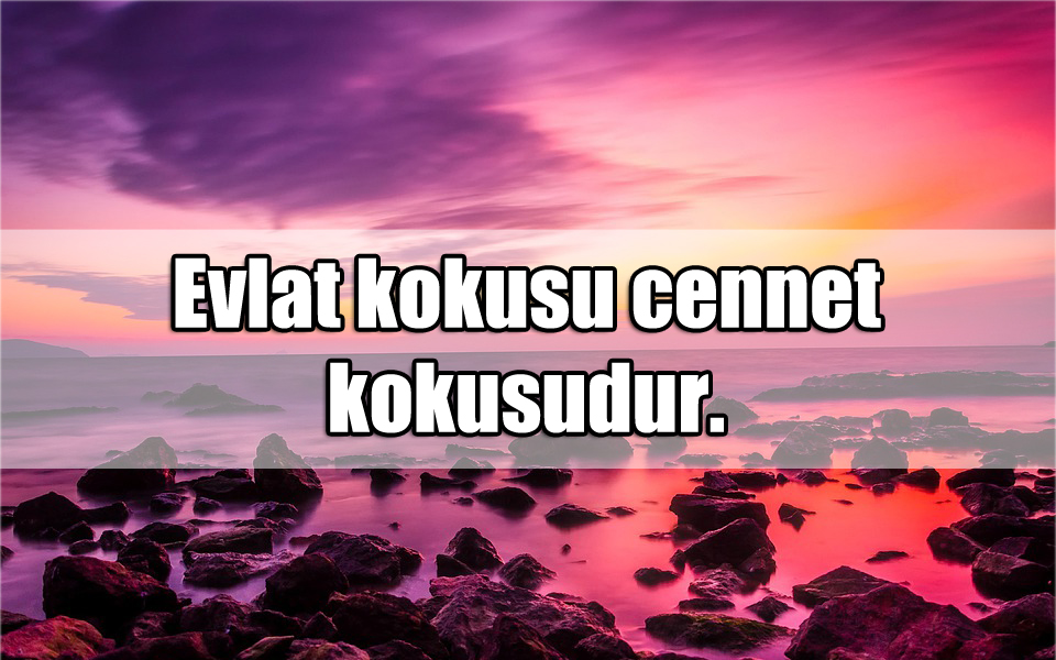 Koku ile ilgili Sözler