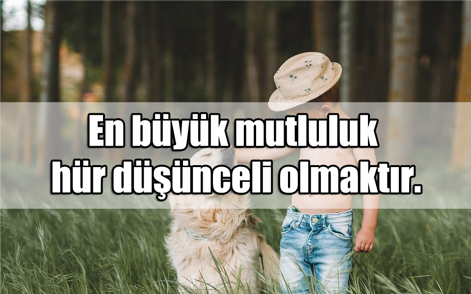 Saadet ile ilgili Sözler