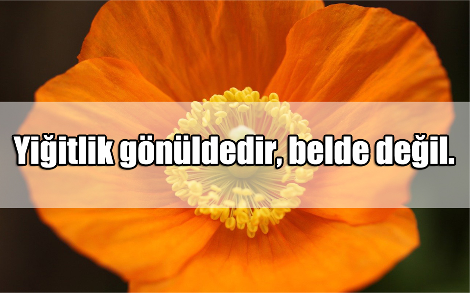 Yiğitlik ile ilgili Sözler