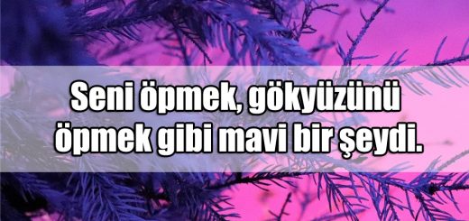 Öpmek ile ilgili Sözler