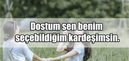 Dostluk Sözleri