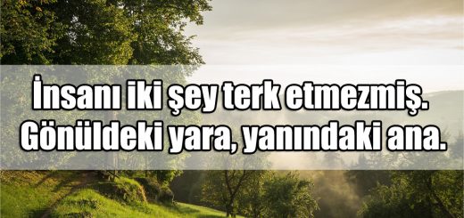 Terk Edilmek ile ilgili Sözler