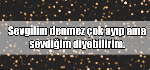 Ayıp ile ilgili Sözler