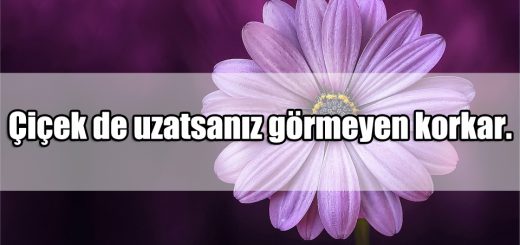 Çiçeklerle ilgili Sözler