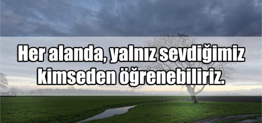 Öğrenmek ile ilgili Sözler