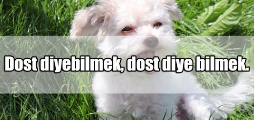 Dostlukla ilgili Güzel Sözler