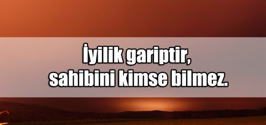 Garip ile ilgili Sözler