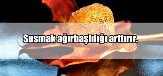 En Güzel Ağırbaşlılık ile ilgili Sözler