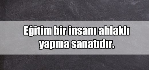 En Güzel Eğitim ile ilgili Sözler