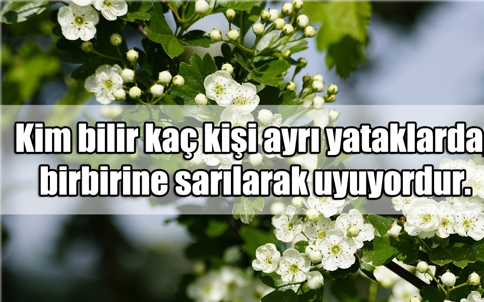 En Güzel Sarılmak ile ilgili Sözler