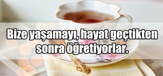 En Güzel Yaşam ile ilgili Sözler