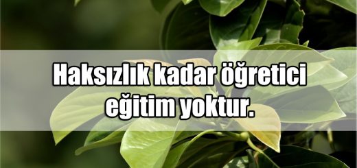 En Güzel Zulüm ile ilgili Sözler