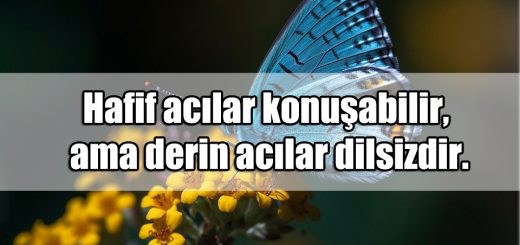 En Güzel Örnek Alınacak Sözler