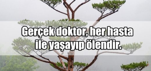 En Güzel Hasta ile ilgili Sözler