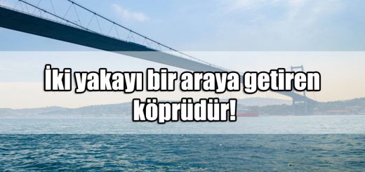 En Güzel Köprü ile ilgili Sözler