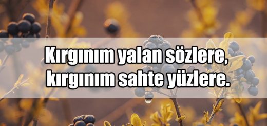 En Güzel Sahte Dostlara Sözler