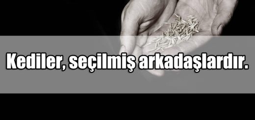 En Güzel Açlık ile ilgili Sözler