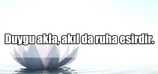 En Güzel Ruh ile ilgili Sözler