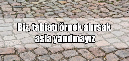 En Güzel Yanılmak ile ilgili Sözler