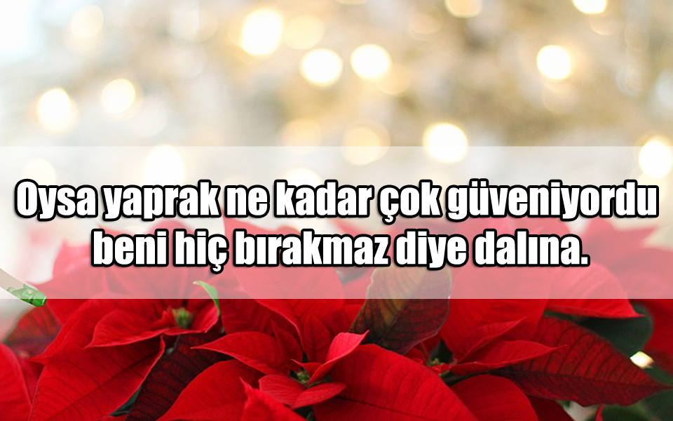 En Güzel Yaprak ile ilgili Sözler