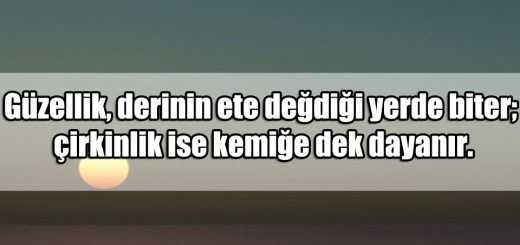 En Güzel Çirkinlik ile ilgili Sözler