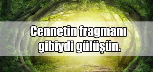 En Güzel Cennet ile ilgili Sözler