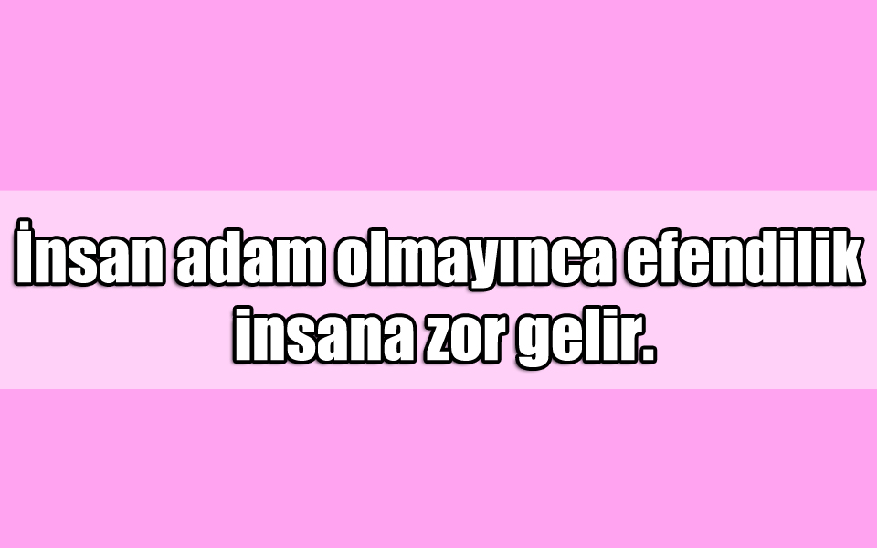 En Güzel Efendilik ile ilgili Sözler