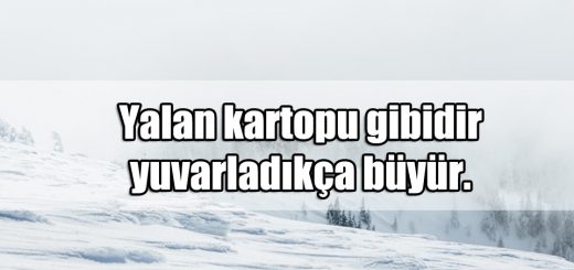 En Güzel Kar ile ilgili Sözler