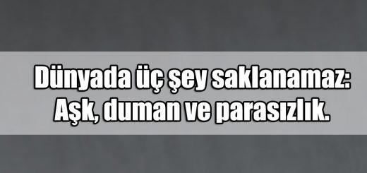 En Güzel Para ile ilgili Sözler