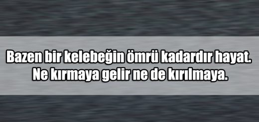 En Güzel Sitemli ile ilgili Sözler