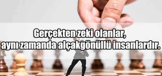 En Güzel Zeka ile ilgili Sözler