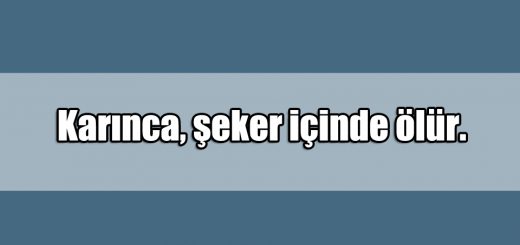 En Güzel Hırs ile ilgili Sözler