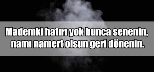 En Güzel Mertlik ile ilgili Sözler