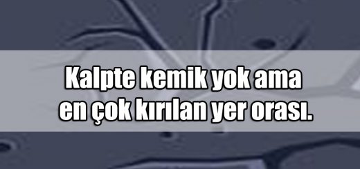 En Güzel Öfkeli ile ilgili Sözler