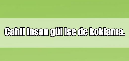 En Güzel Cahillik ile ilgili Sözler