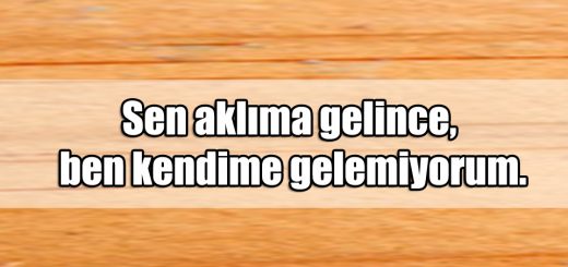 En Güzel Hoşlanma ile ilgili Sözler