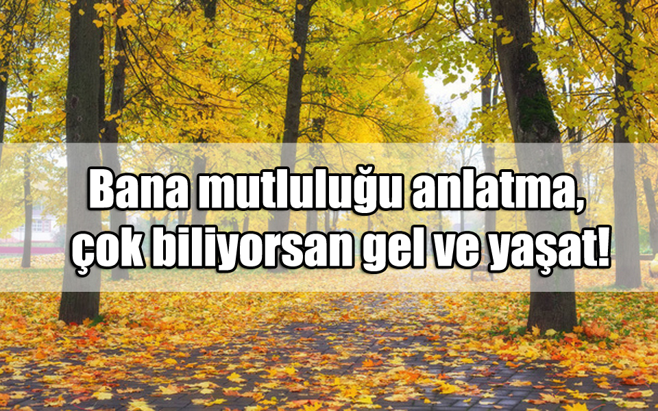 En Güzel Mutluluk ile ilgili Sözler