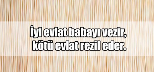 En Güzel Evlat ile ilgili Sözler