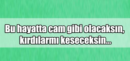 En Güzel Kapak ile ilgili Sözler