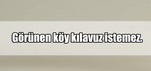 En Güzel Köy ile ilgili Sözler