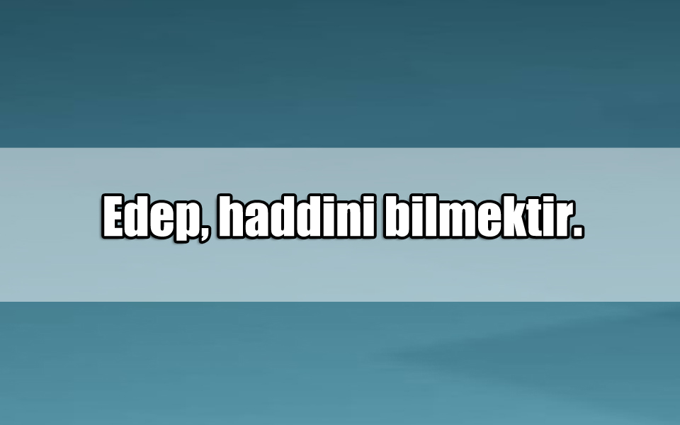 En Güzel Terbiyesiz ile ilgili Sözler