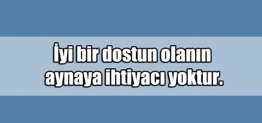 En Güzel Dost ile ilgili Sözler