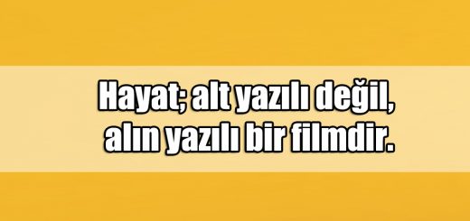 En Güzel Hayata Karşı ile ilgili Sözler