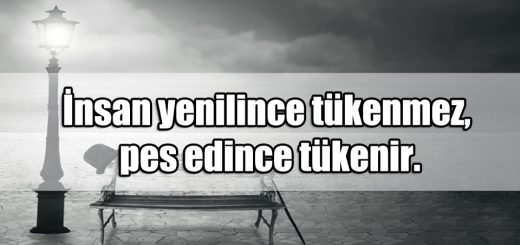 En Güzel Akıl Dolu ile ilgili Sözler