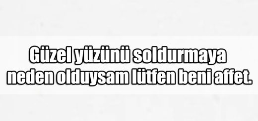 En Güzel Sevgiliye Özür ile ilgili Sözler