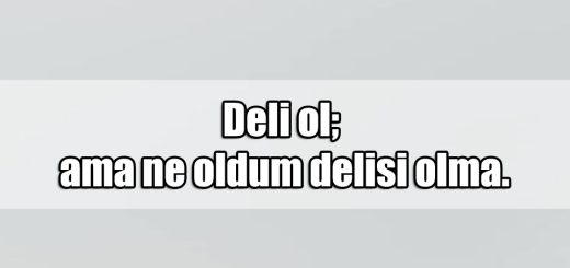 En Güzel Deli Dolu ile ilgili Sözler