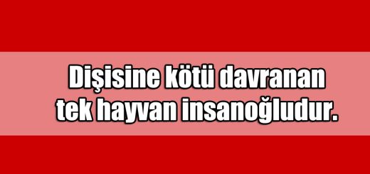 En Güzel Sonsuzluk ile ilgili Sözler