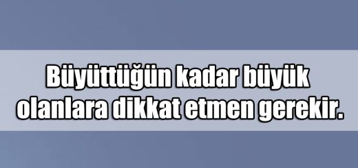 En Güzel Umursamaz ile ilgili Sözler